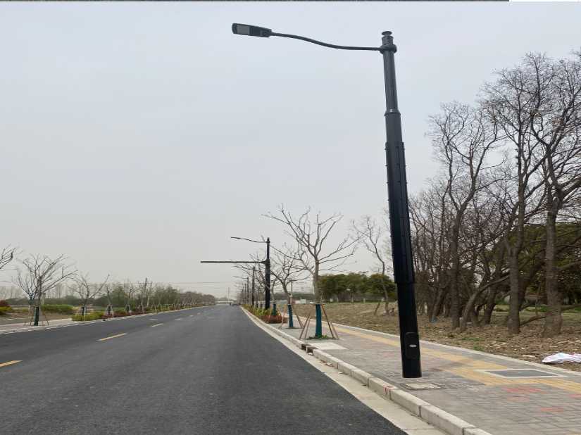 桦川县上海综合杆 太阳能路灯工程